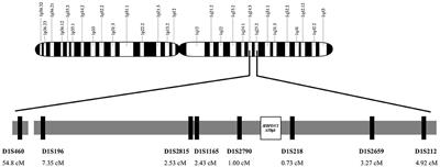 Age and Origin of the Founder Antithrombin Budapest 3 (p.Leu131Phe) Mutation; Its High Prevalence in the Roma Population and Its Association With Cardiovascular Diseases